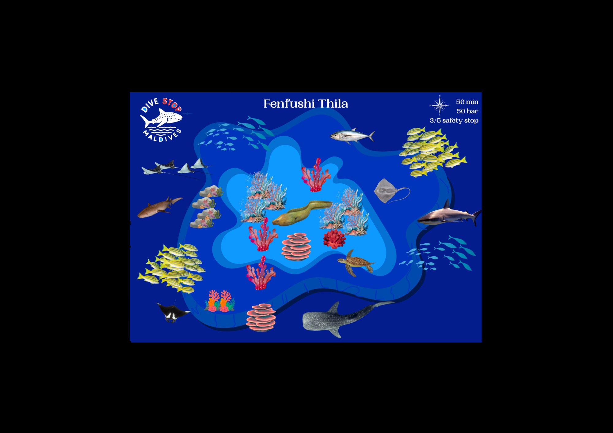 Thila Dive Site Coral Reef South Ari Atoll Maldives